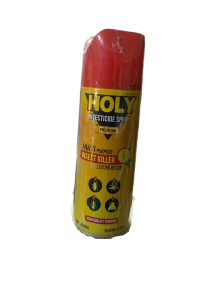 HOLY SPRAY 750ML